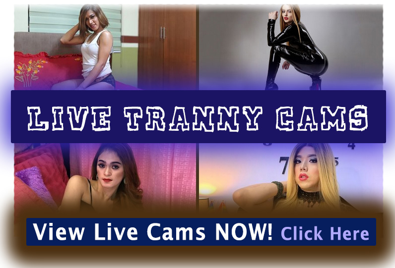 MyTrannyCams - #1 Live Tranny Cam Shows, Join Chat FREE!
